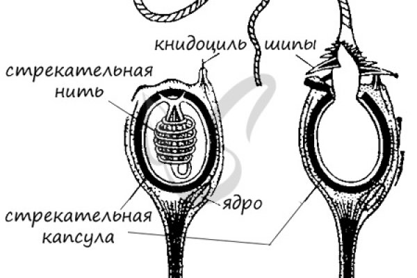 Кракен актуальная