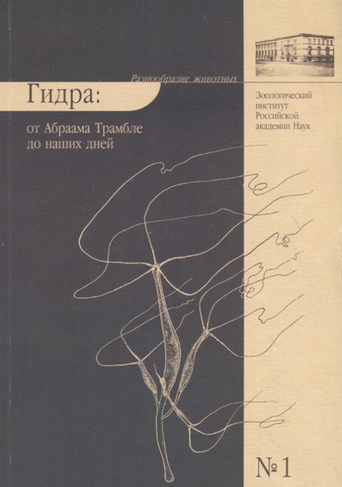 Вход на кракен