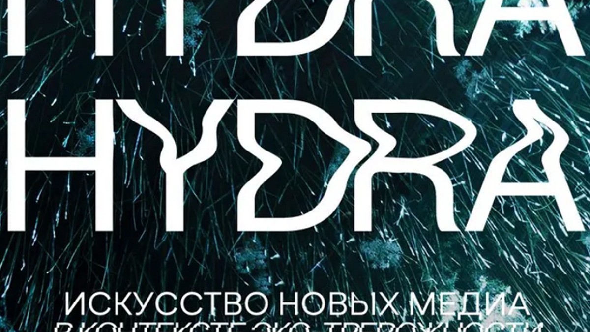 Как зайти на площадку кракен