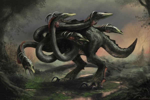 Kraken 20at